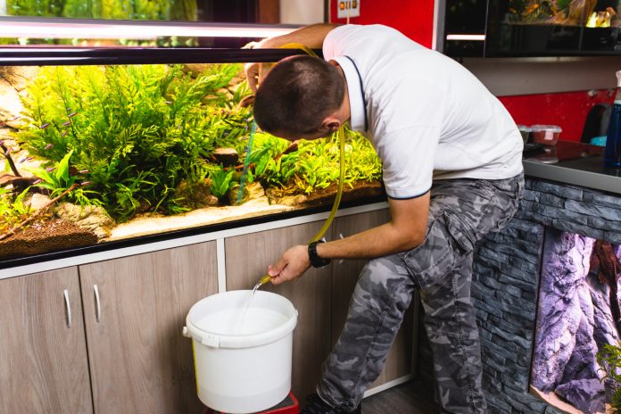 nettoyage aquarium nettoyage aquarium